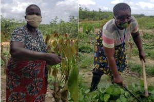 Firestone Liberia Celebrates Women in the Workforce Through Radio Profiles